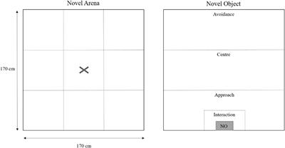 Novelty during rearing increased inquisitive exploration but was not related to early ranging behavior of laying hens